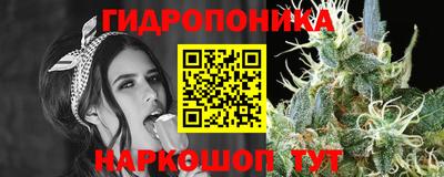 мяу мяу мука Северобайкальск