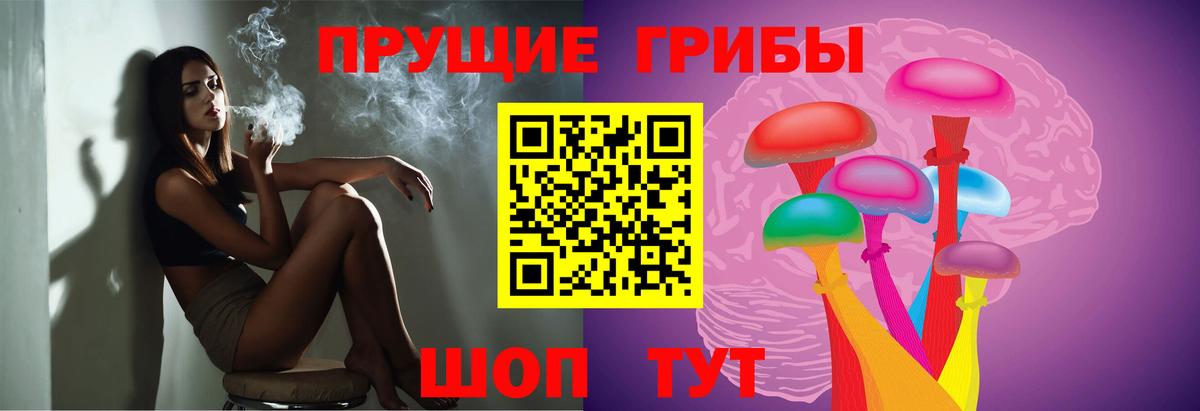 Псилоцибиновые грибы MAGIC MUSHROOMS  Псилоцибиновые грибы Psilocybine cubensis  Нововоронеж  Вход с VPN 